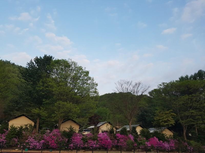 Others 4, Pocheon Bakungyegok Glamping, Pocheon