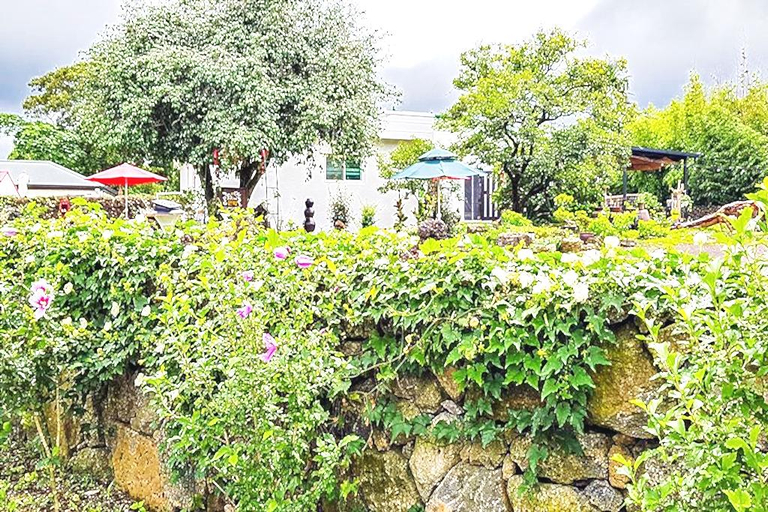 Exterior view 1, Jeju Gorogine Stay, Jeju