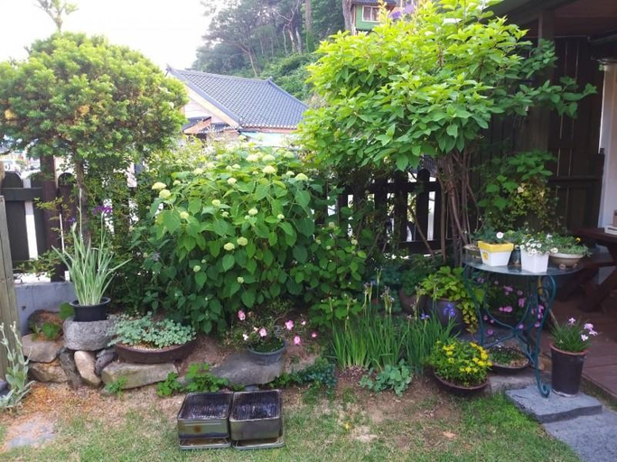 Others 5, Boeun Songnisan Wildflower Pension, Boeun