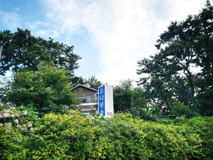 2, Daebudo Pine Forest Pension, Ongjin