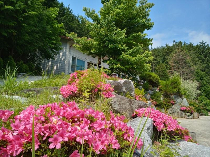 Others 3, Jangseong Cypress Forest Pension, Gochang