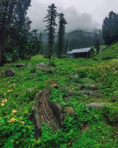 Others 5, Tosh Regency, Kullu