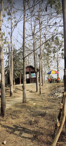 Others 5, Nepal Himalayan Paulownia Resort, Narayani