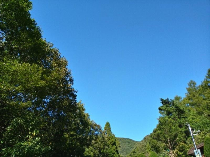 Others 4, Jangseong Cypress Forest Pension, Gochang