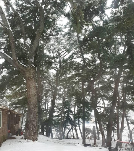 4, Daebudo Pine Forest Pension, Ongjin