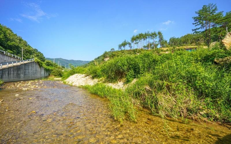 4, Mungyeong Dongro Forest Pension, Mungyeong
