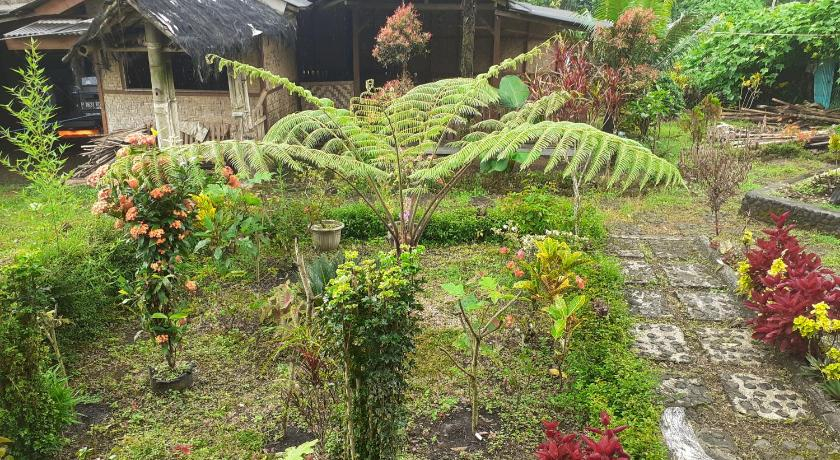 Exterior & Views 5, Ijen Miner Family Homestay, Banyuwangi