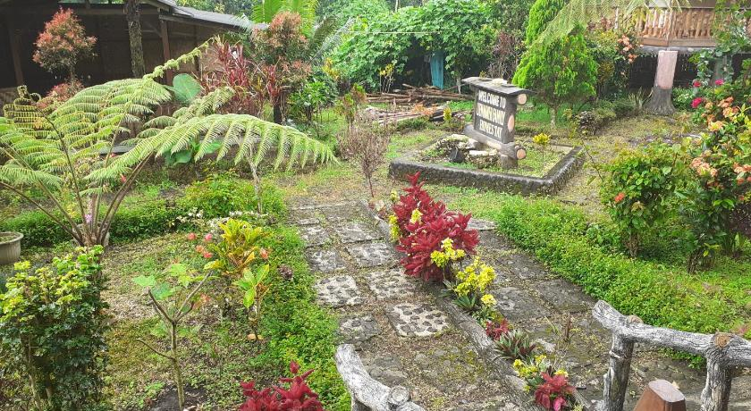 Exterior & Views 4, Ijen Miner Family Homestay, Banyuwangi
