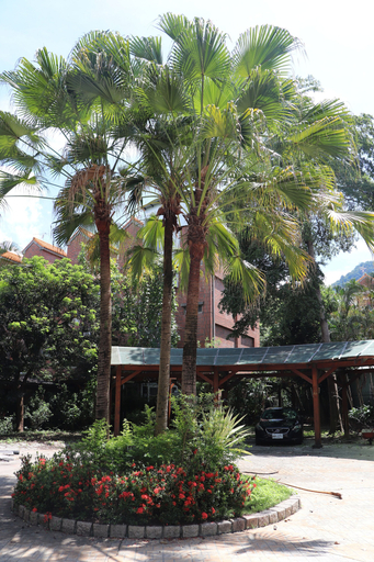 Others 5, Shuilili mountain village, Nantou
