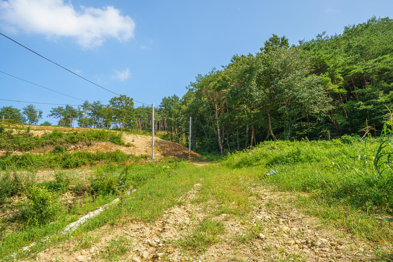 Others 1, Mungyeong Dongro Forest, Mungyeong