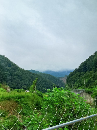 Others 4, Mungyeong Dongro Forest, Mungyeong