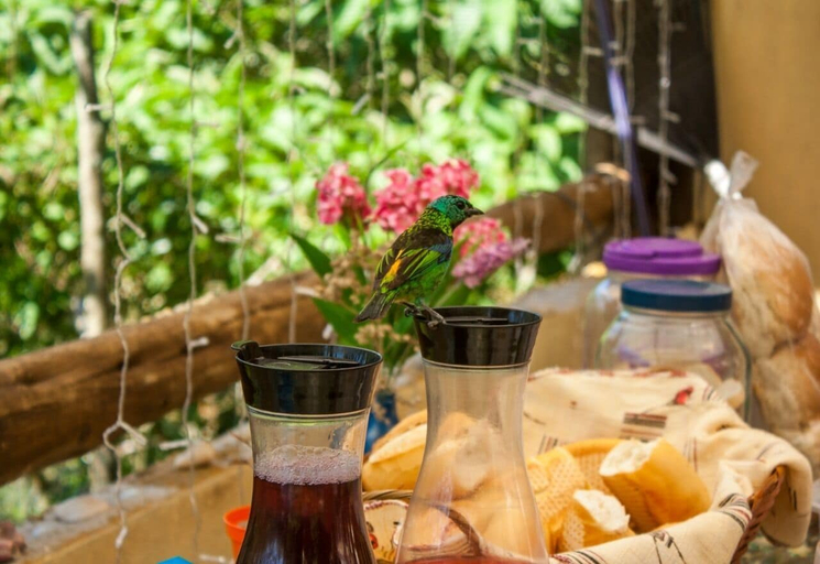 Food & Drinks 3, Manacá Prumirim suites, Ubatuba