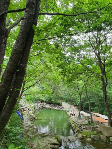 Others 2, Cheongdo 1 Night 2 Day Pension, Cheongdo