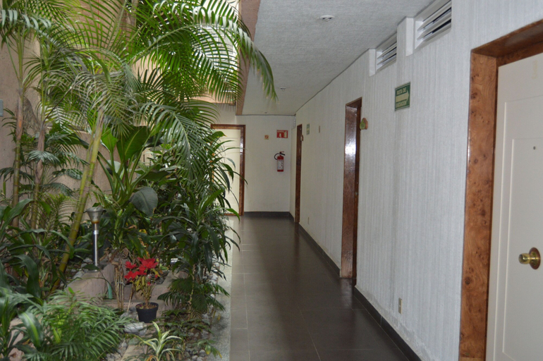 Others 5, Hotel Mina, Mexico City