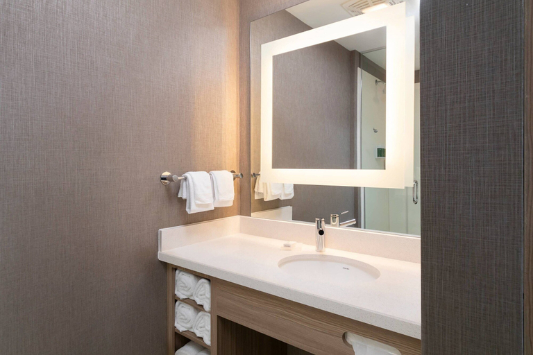 Bathroom 4, SpringHill Suites by Marriott Cape Canaveral Cocoa Beach, Brevard