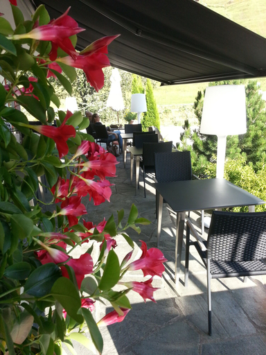 Food & Drinks 4, Hotel Rovanada, Surselva