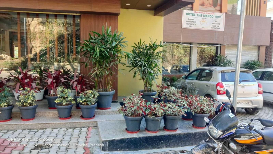 Exterior & Views 2, Hotel The Mango Tree, Kangra