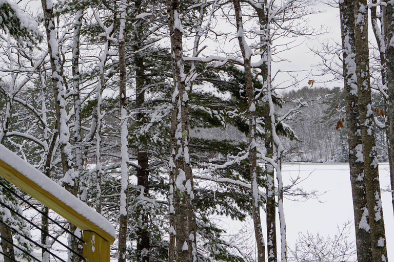 Exterior & Views 2, Waterfront Dresden Cabin With Deck + Fire Pit!, Sagadahoc