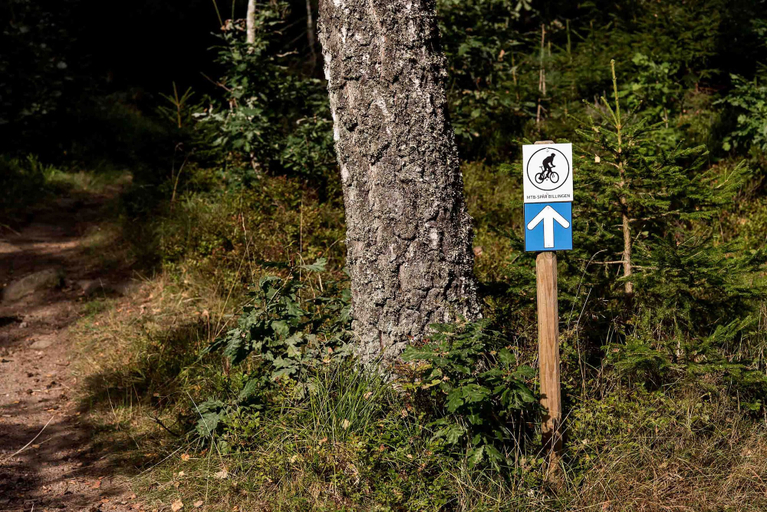 Others 3, Billingehus, Skövde