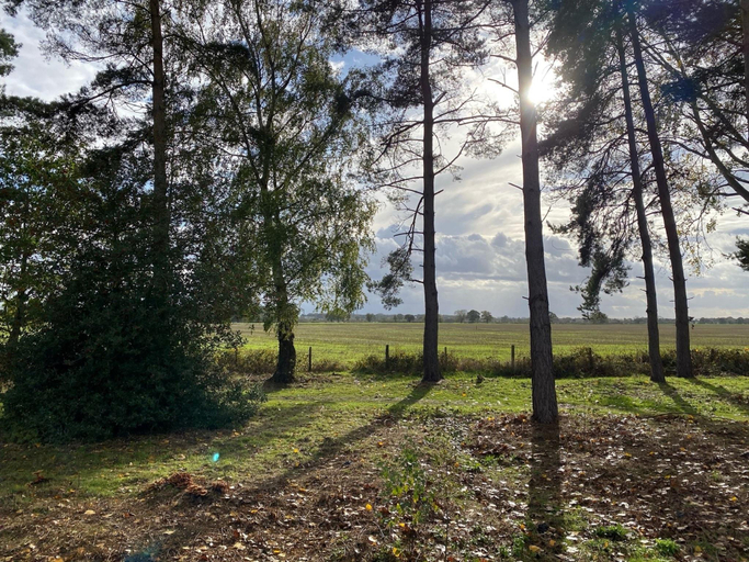 Others 5, Hollicarrs - Pinewood Lodge, North Yorkshire