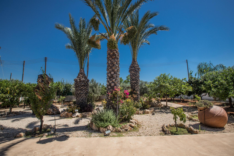 Others 3, Protaras Holiday Villa An75