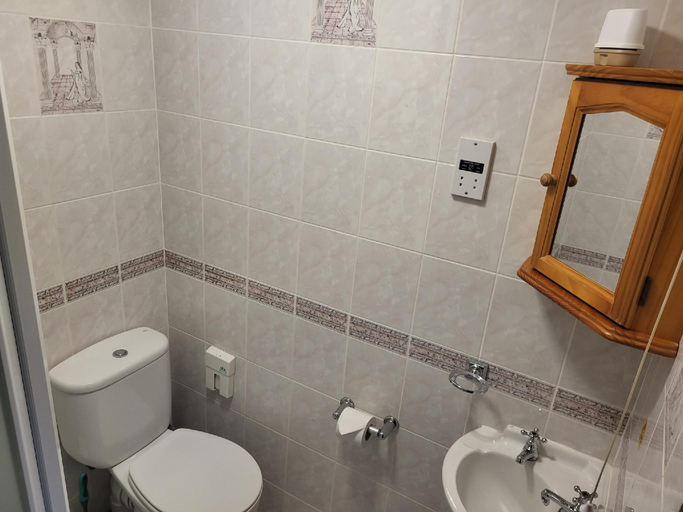 Bathroom, Ye Olde Mustard Pot, Barnsley