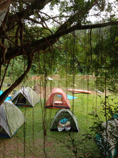 Others 3, Tree Story Farm by FarmVille @ Seremban, Seremban