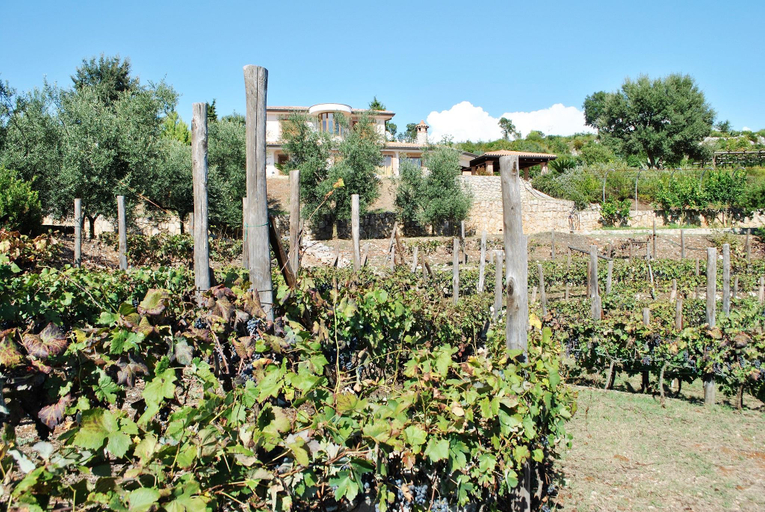 Others 3, Uva Stelle Maison detached villa in the hills of Sperlonga, Latina