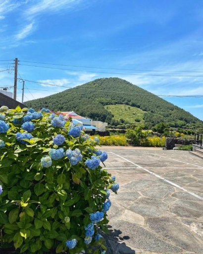 5, Jeju Slow Mansion Pension, Jeju