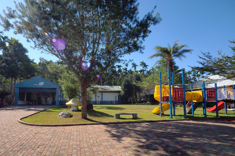 Public Area, Sun Moon Cat Cat on the Ground, Nantou