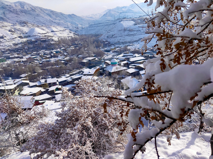 Others 3, APRICOT INN KARGIL, Kargil