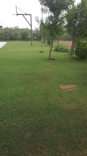 Others 4, The Retreat by Walias|4BR|Pool|Tennis|Sports, Gurgaon