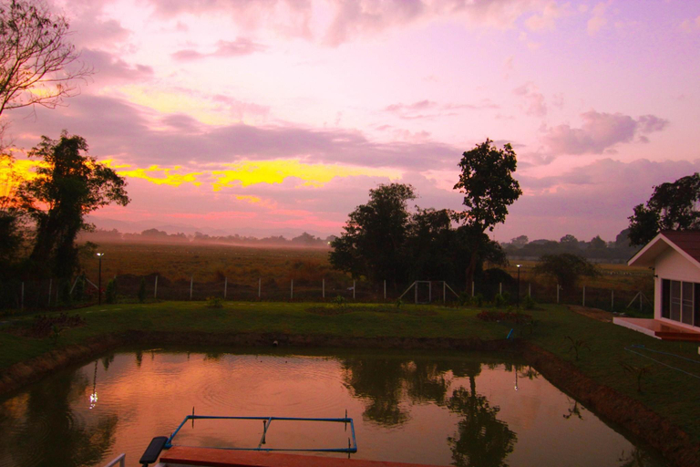 Others 3, Mango Garden Resort, Muang Lamphun
