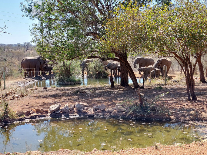 Others 2, Phomola Manor, Mopani