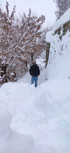 Others 2, APRICOT INN KARGIL, Kargil