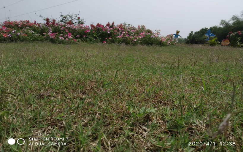 Others 5, The Gharana Hotel and Resort, Birbhum