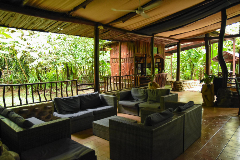 Public Area 3, Chilamate Rainforest Eco-retreat, Sarapiquí