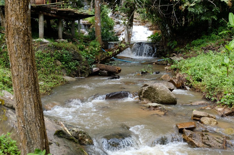 Others 4, Forest Falls Garden Maerim Chiangmai, Mae Rim