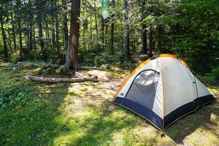 Trek with wasu, Anantnag