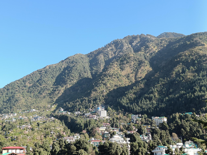 Others 5, Mountain Vista, Kangra
