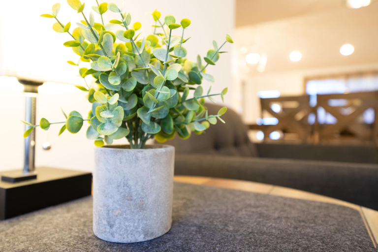 Others 3, Gorgeous EST/Mercedes Stdm 10-min/Patio/Slps 10, Atlanta