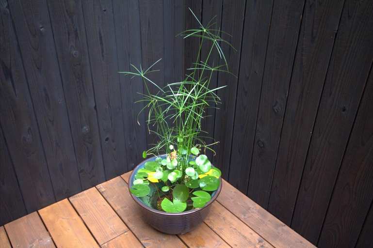 Others 4, OSAKA - Enjoyable house with an original stone oven barbecue grill, Osaka