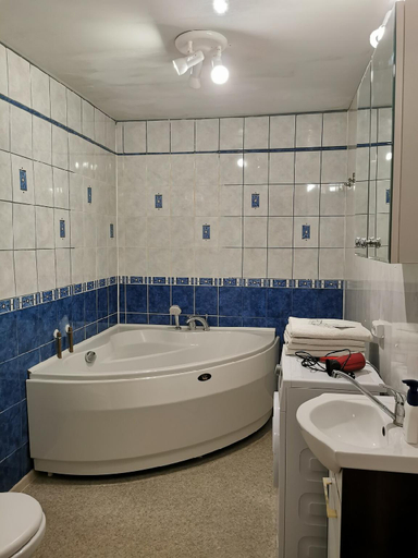 Others 4, Spacious Apartment in Klaipeda center ✨, Klaipėdos