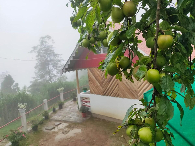 Others 4, Boho Homestay, Rangbhang, Darjiling