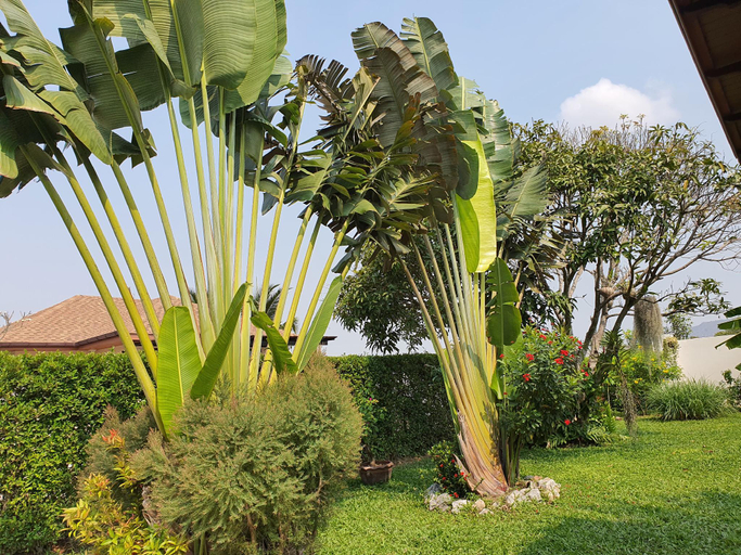 Others 4, Siri Thai Lodges, Hua Hin