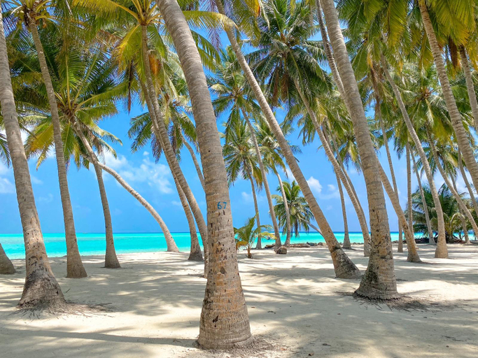 Others 3, Captal Island Villa, North Ari Atoll