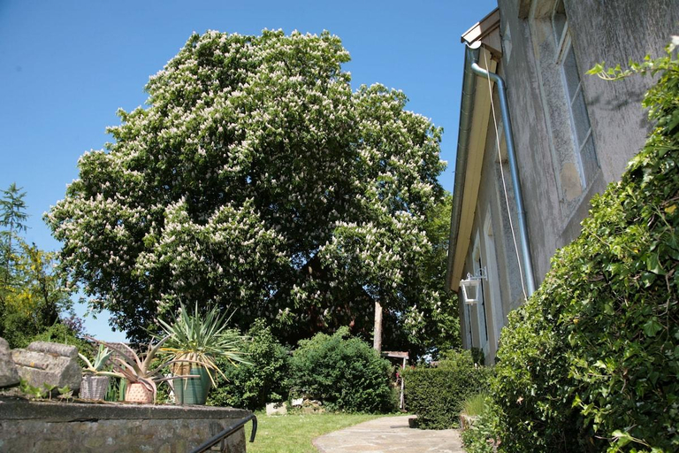 Others 5, Haus Keppelborg: ZI Elisabeth mit Burgmauerblick, Borken
