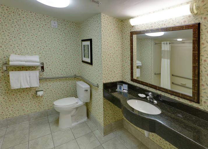 Bathroom 4, Hampton Inn & Suites Columbus Polaris, Delaware