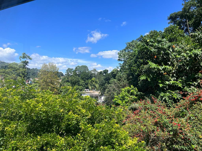 Others 5, Kandy Tree Tops, K.F.G. & G. Korale