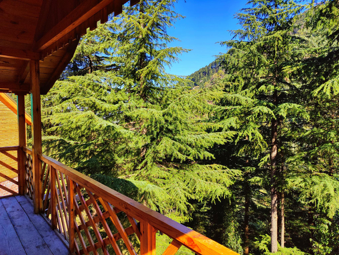 3, Mid Conifer, Chamba